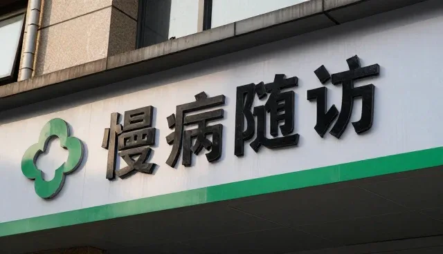 提升服务效率的地区管理实践与优化策略